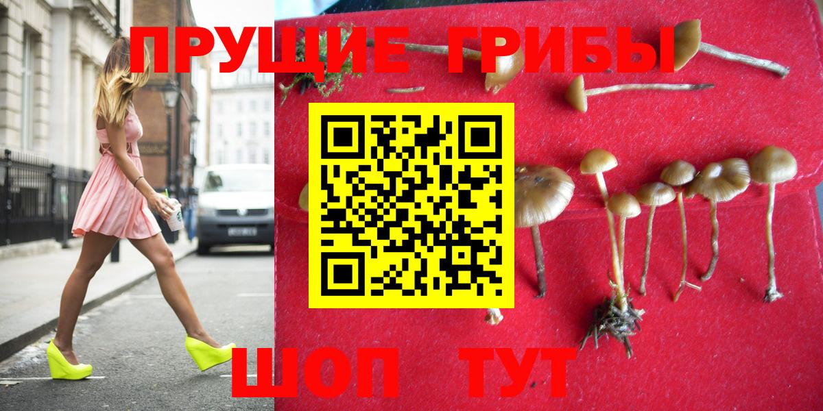 Саратов  Галлюциногенные грибы GOLDEN TEACHER  Вход с VPN 
